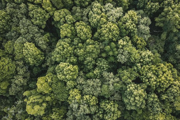 Découvrez les meilleures trouvailles de la boutique naruto en ligne !